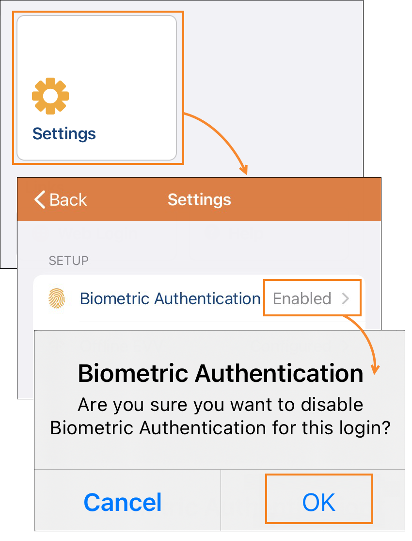 What Is Biometric Authentication On Iphone