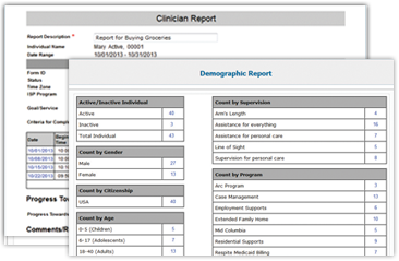 Therap Electronic Documentation for Intellectual and 